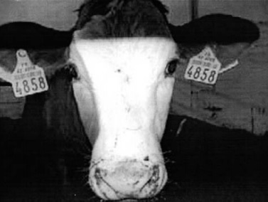 TPE Material Applications